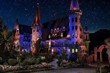 Trips & Tours