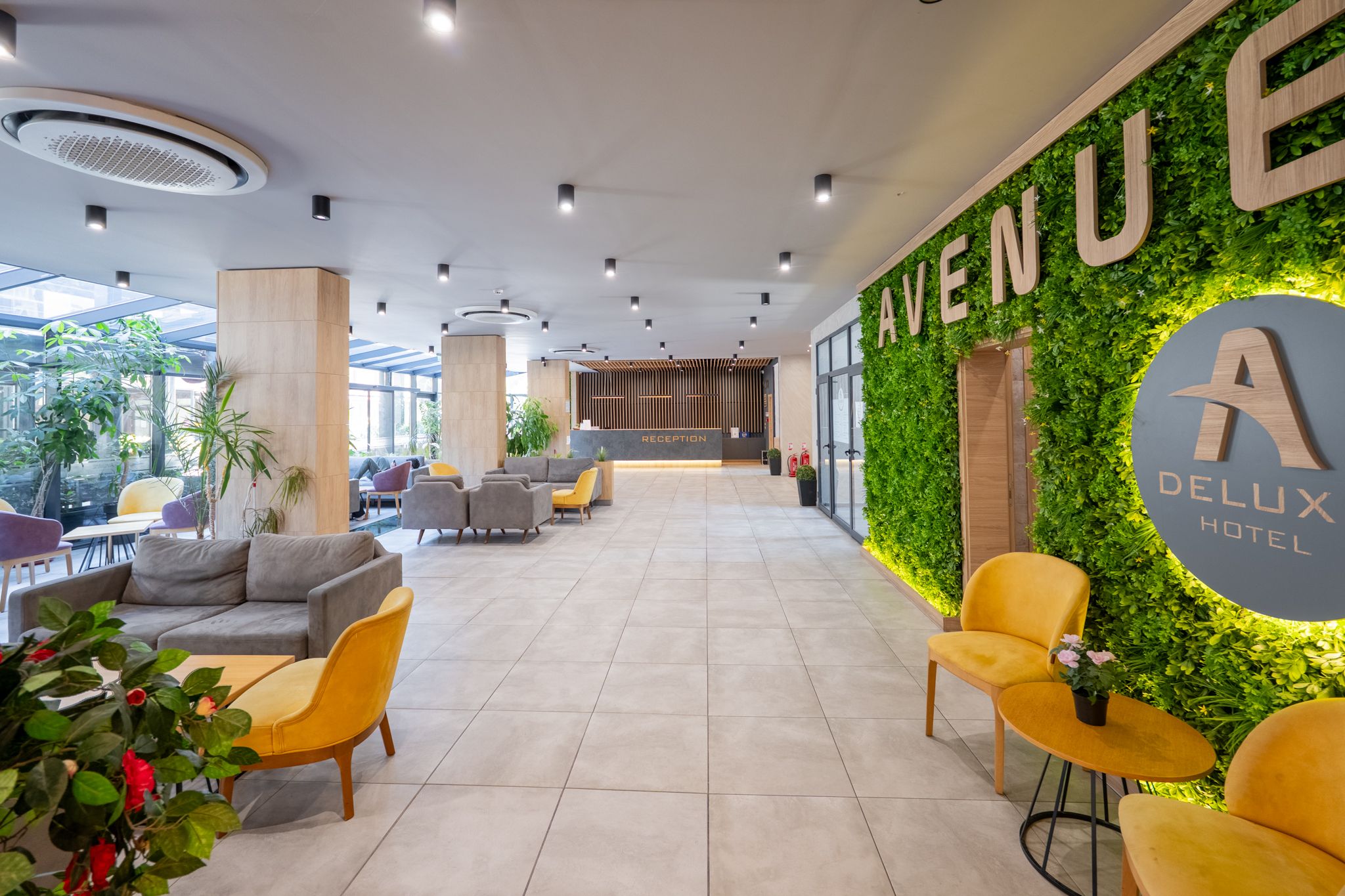 Hotel Avenue Deluxe 3