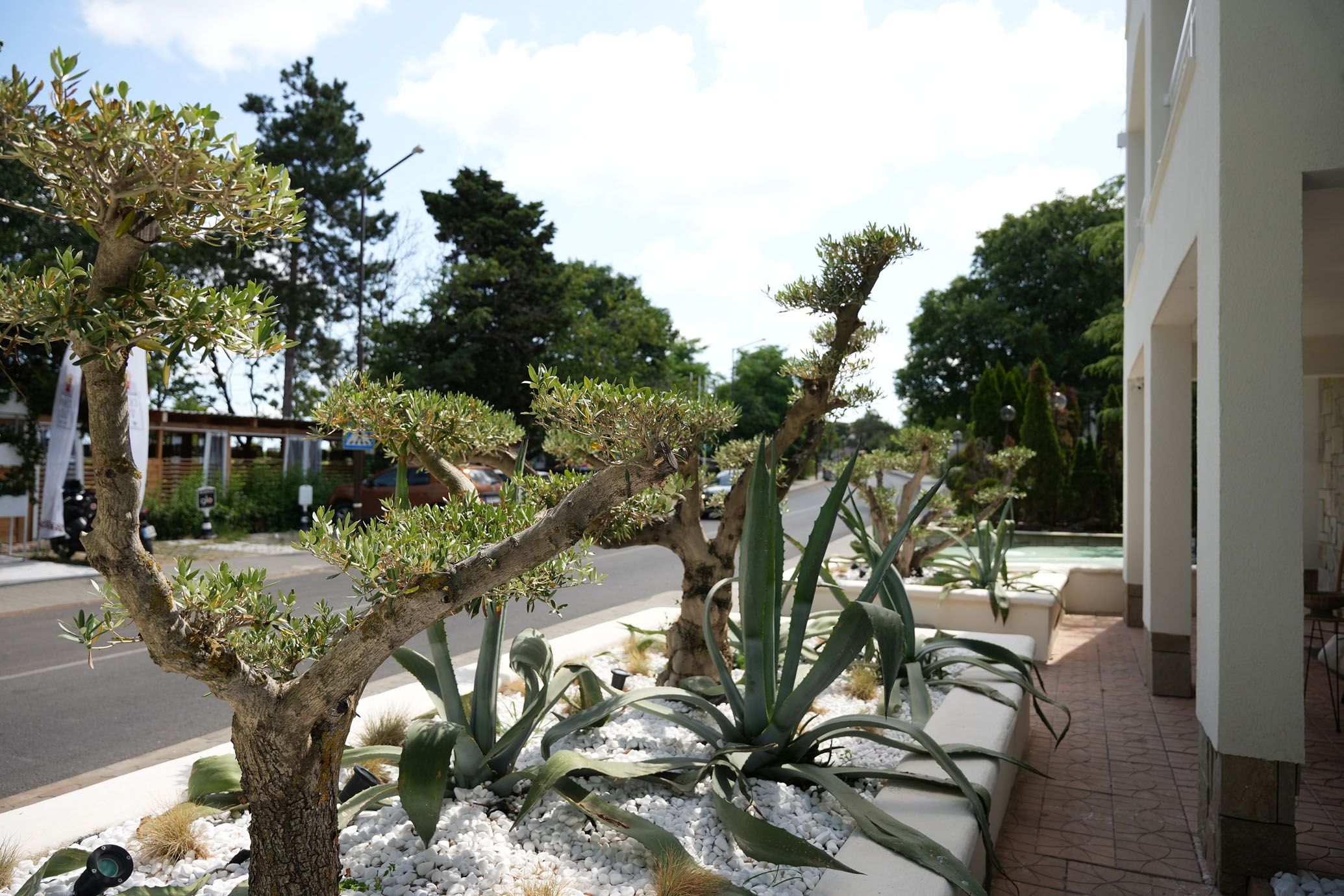 PARADISE BAY Hotel 4