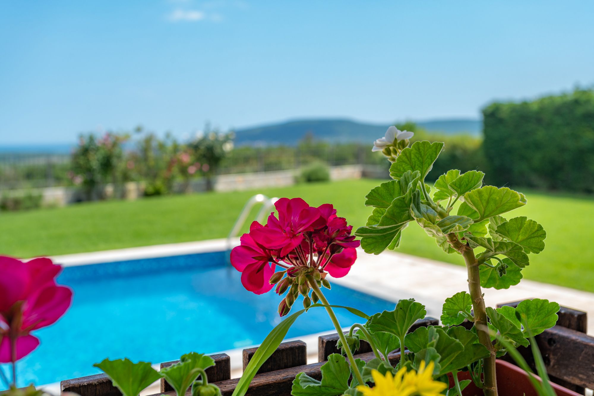 Villa Poemia- luxury family villa with pool and sea view 4