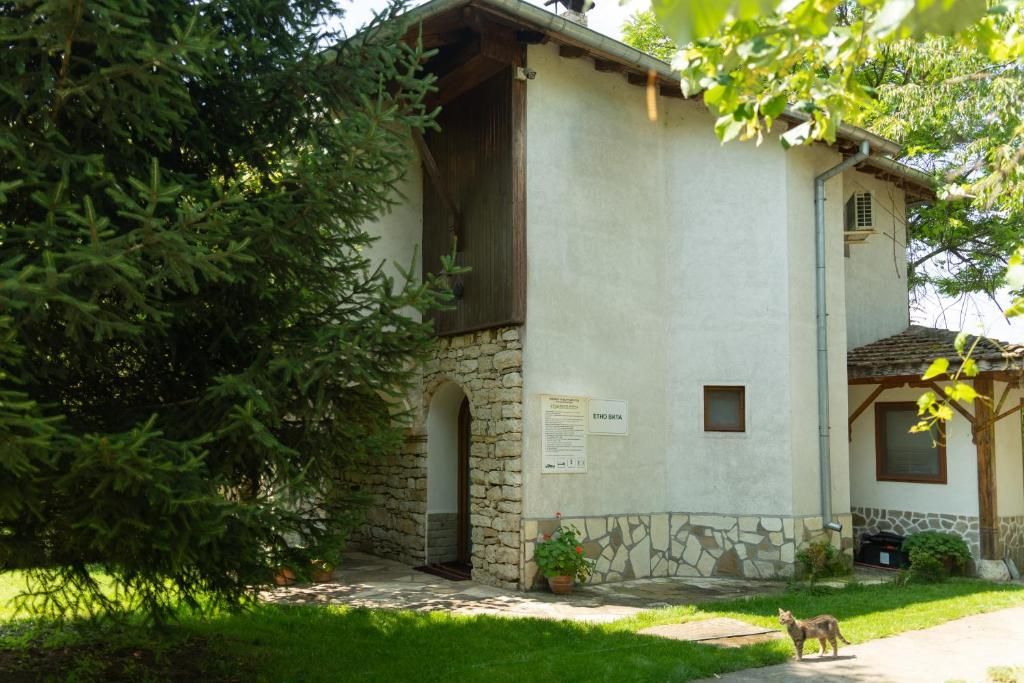 EcoHotel "The Mansion" 3